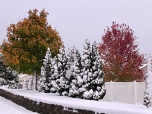 Snow – from Kenosha News